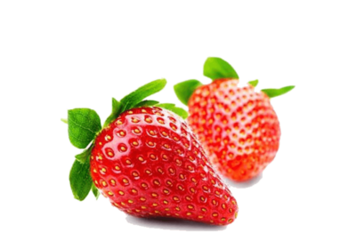 h3-product13 h3-product13